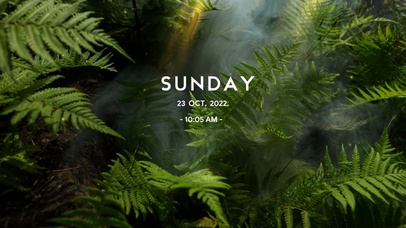 4k高清ins风格系列