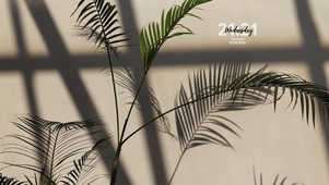ins风植物（含时间）