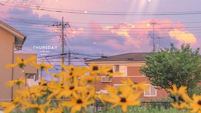 治愈鲜花好天气