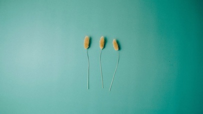 护眼壁纸