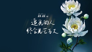 治愈语录 花莲