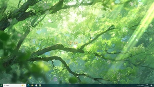 树与光 护眼治愈