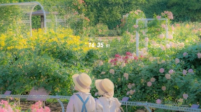 4K日系唯美治愈花海园林