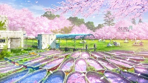 公园樱花游湖