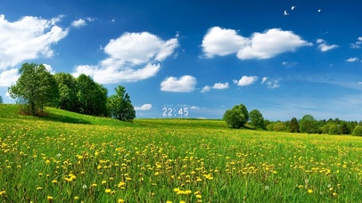 4K蓝天白云花海