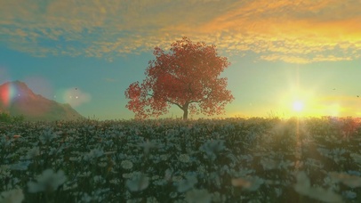 我的世界 静谧日出