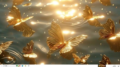 金色蝴蝶海岸  主题