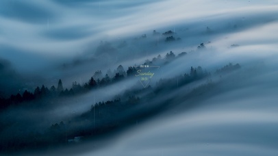 4K雨中迷雾山林