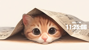 可爱猫咪，用自己舒服的方式生活