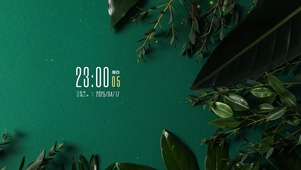 简约系绿植壁纸