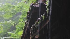 下雨的古建筑屋檐