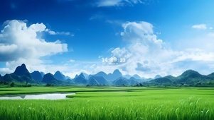 小清新麦田