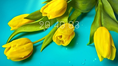 简约清新郁金香壁纸