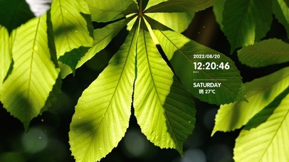 4k高清治愈阳光小清新系列