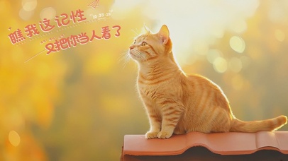 瞧我这记性，又把你当人看了