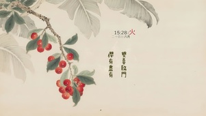 樱有尽有 双喜临门