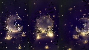 星月物语