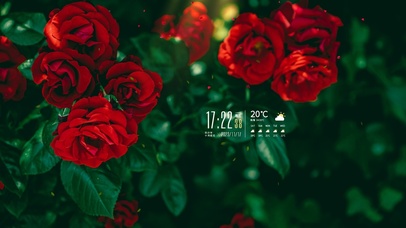 4k唯美阳光花草风景