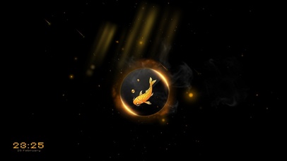 鱼鱼生辉 偏财滚滚来