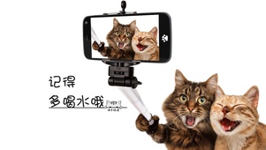 小猫自拍