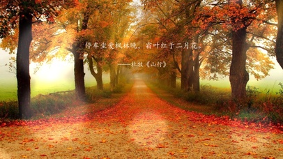 霜叶红于二月花