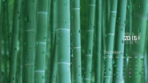 竹林雨滴