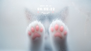 猫咪的爪