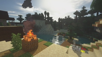 午后的阳光池塘