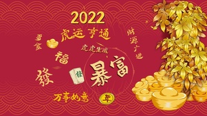 2022发财树聚宝