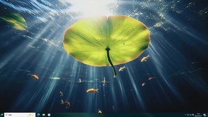 鱼戏流光-桌面主题