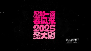 2025新年发大财