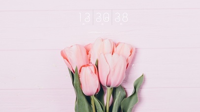 4k治愈简约桌面