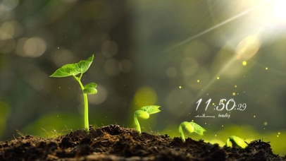 绿意萌生【4K超清护眼治愈】