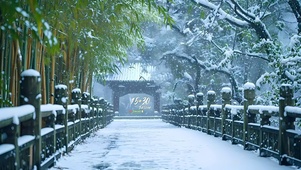 雪景石桥竹林