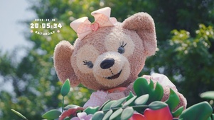 4k高清可爱萌系列