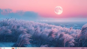 晚霞芦苇荡