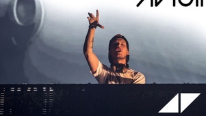 Avicii