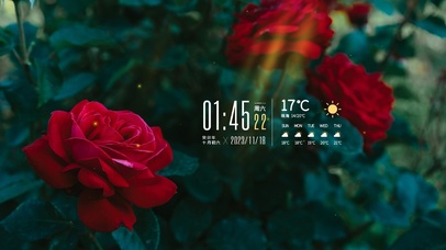 4k唯美阳光花草风景