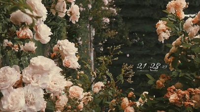 治愈唯美春意花丛