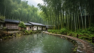 下雨竹林小屋