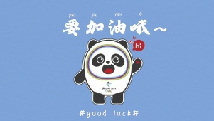 2022冬奥冰墩墩