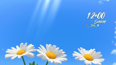 阳光清新治愈小雏菊