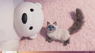 猫咪与大白熊