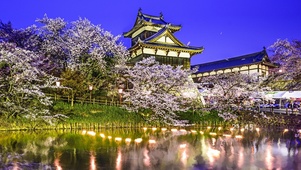 治愈樱花美景