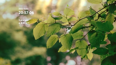 4k治愈风景桌面