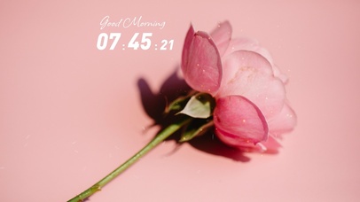 4k高清治愈小清新系列