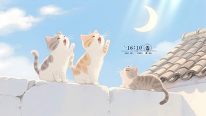 可爱三只猫