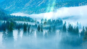 4k 云雾罩山林
