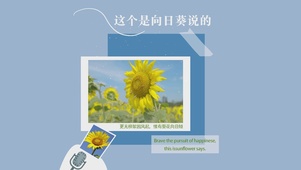 这个是向日葵说的