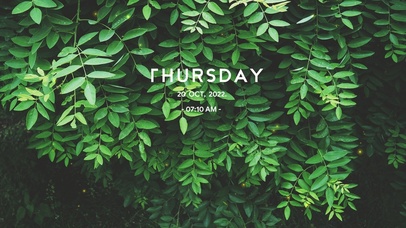 4k高清简约护眼系列